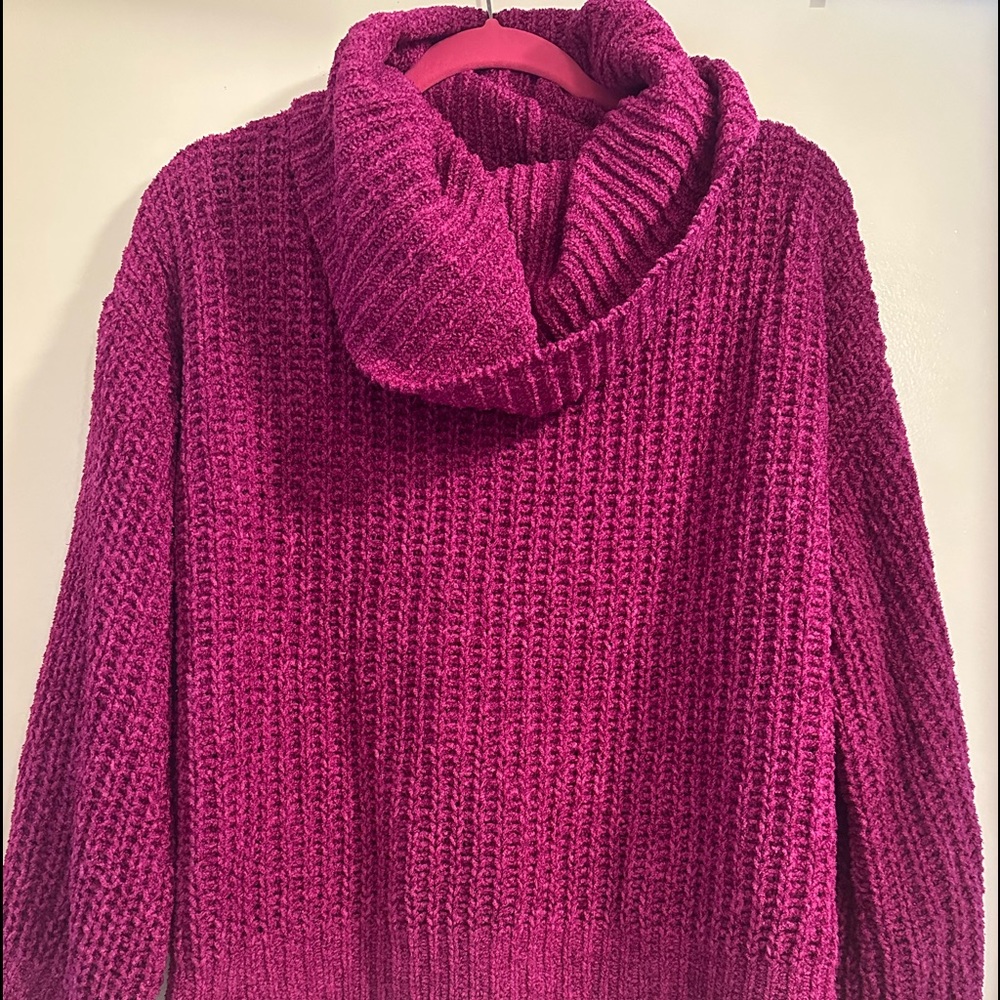 Express Sweater